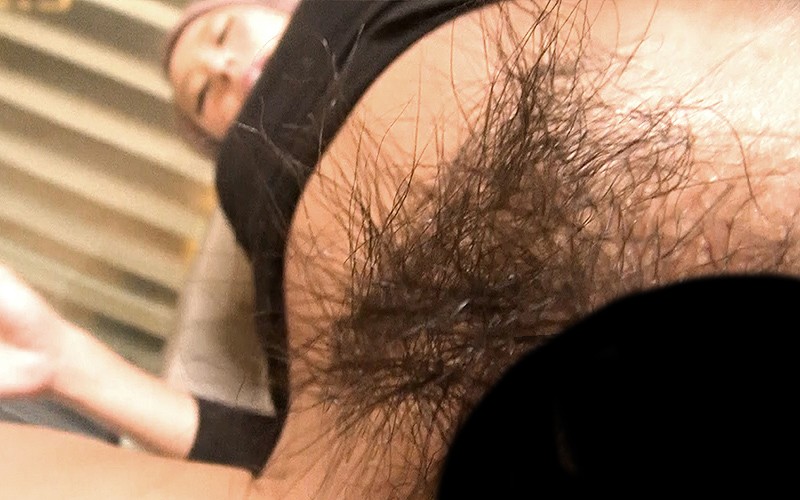 サンプル画像 5