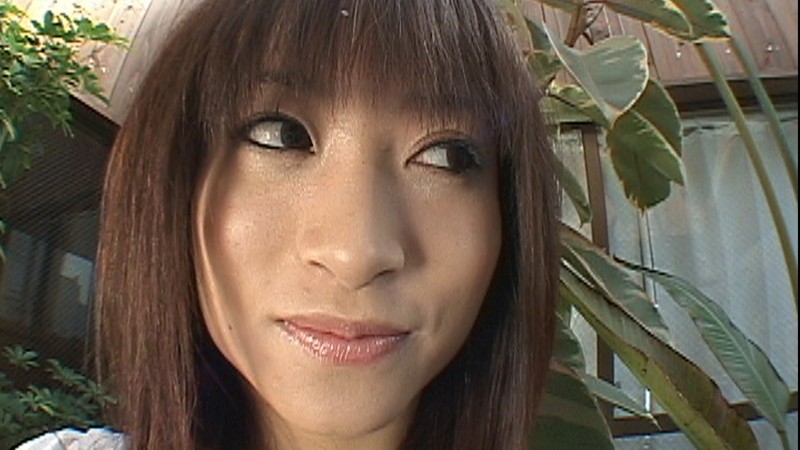 サンプル画像 11