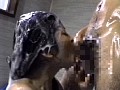 サンプル画像 32