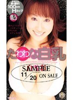 サムネイル画像