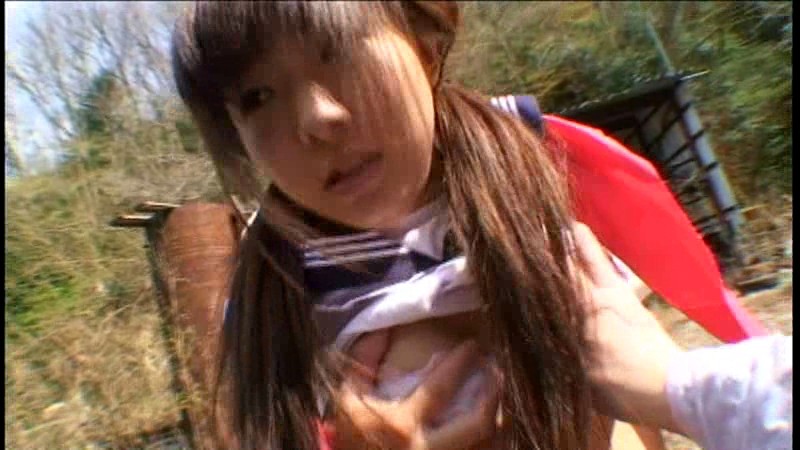 サンプル画像 2