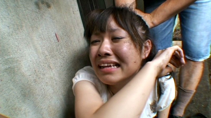 サンプル画像 14