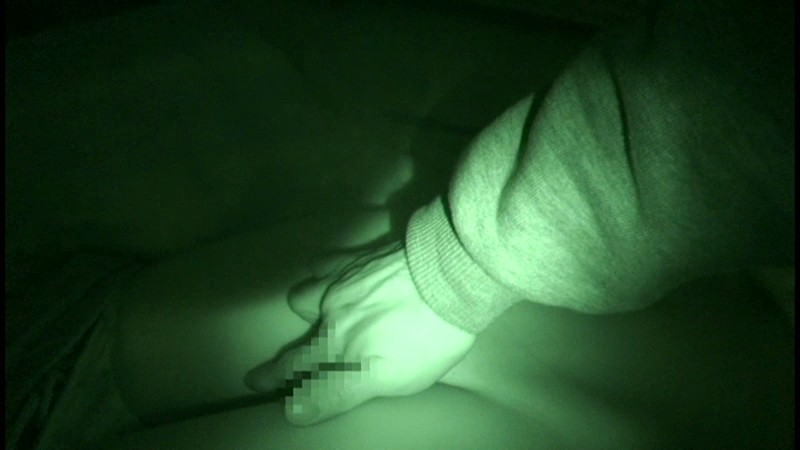 サンプル画像 3