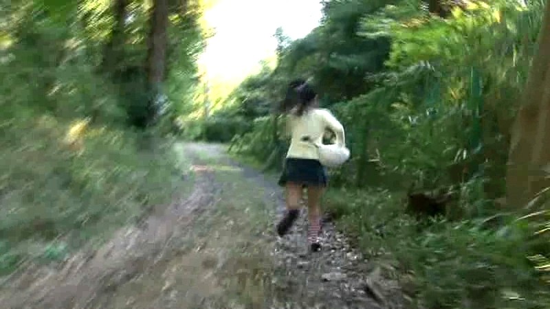 サンプル画像 12