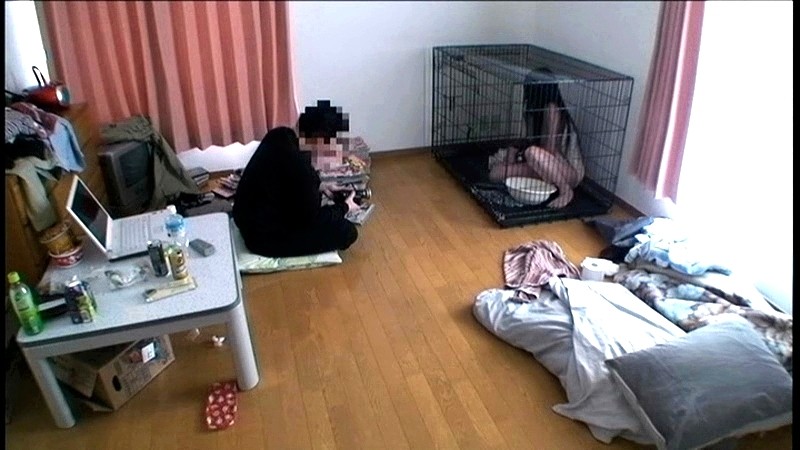 サンプル画像 8