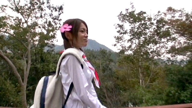 サンプル画像 12