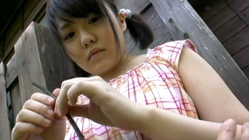 サンプル画像 2