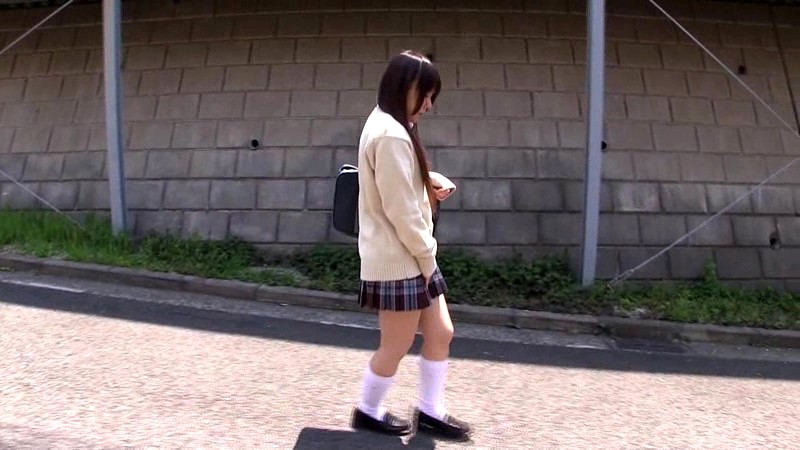 サンプル画像 3