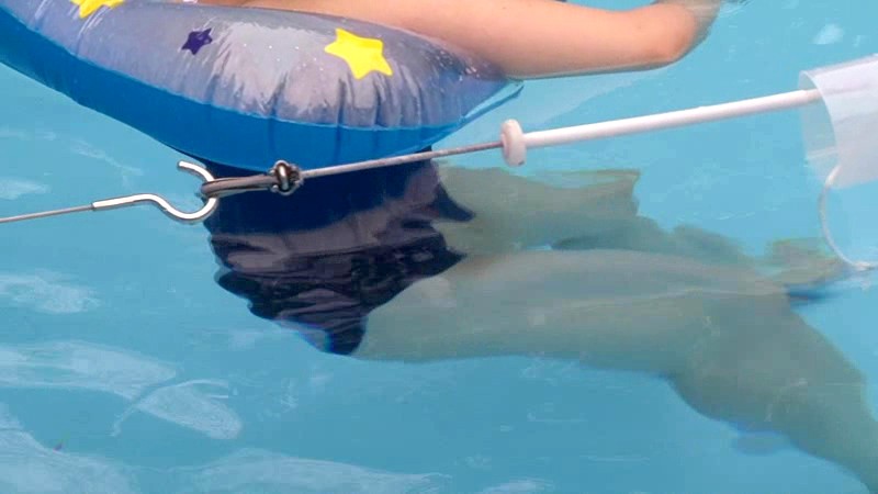 サンプル画像 5