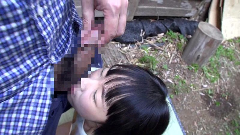 サンプル画像 16