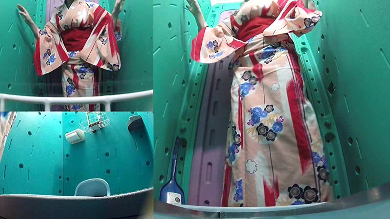 サンプル画像 3