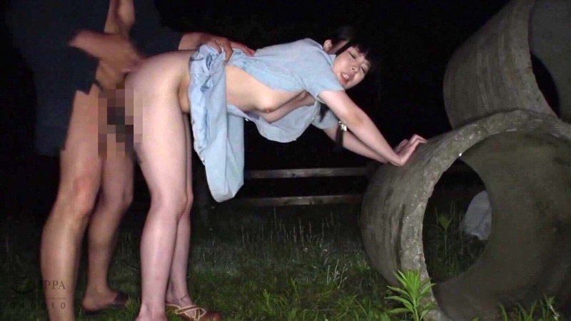 サンプル画像 12