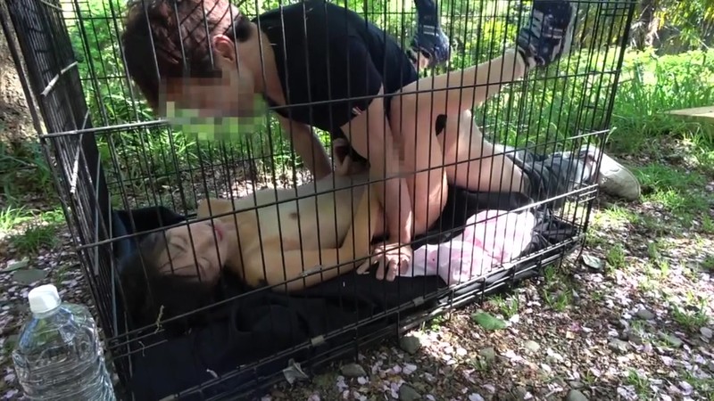 サンプル画像 18