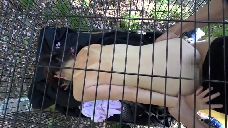 サンプル画像 20