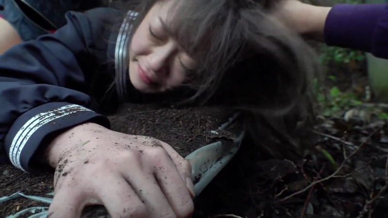 サンプル画像 5