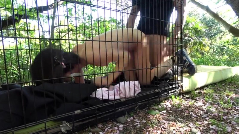 サンプル画像 11