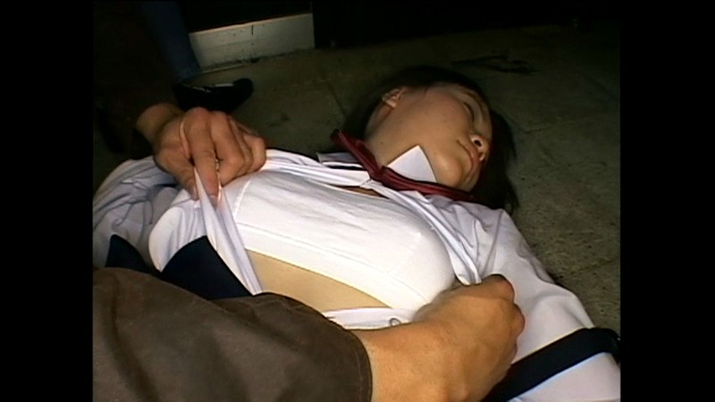 サンプル画像 8