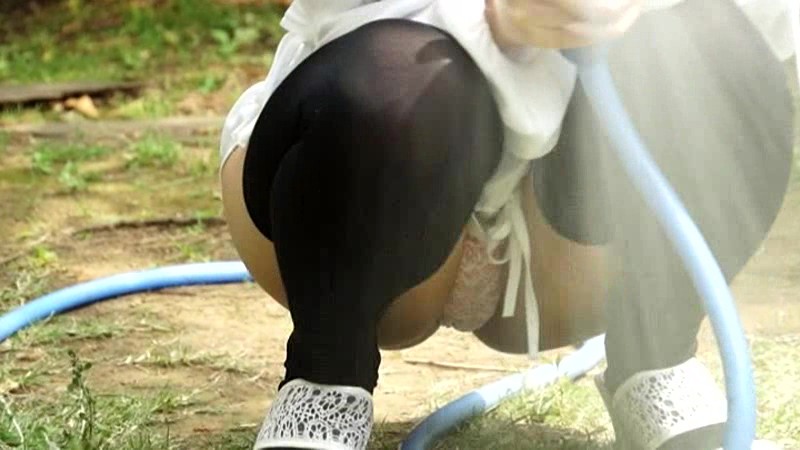 サンプル画像 12