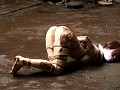 サンプル画像 26
