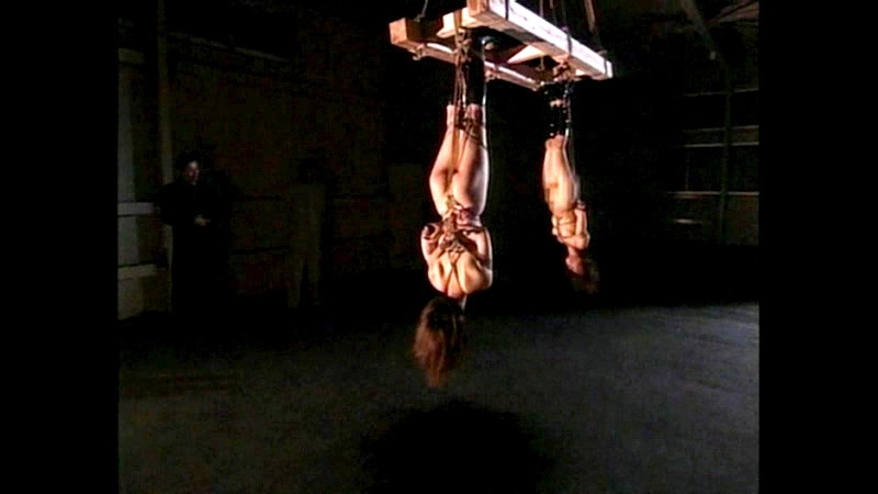 サンプル画像 11