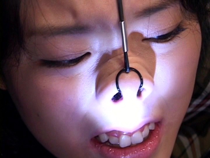 サンプル画像 8