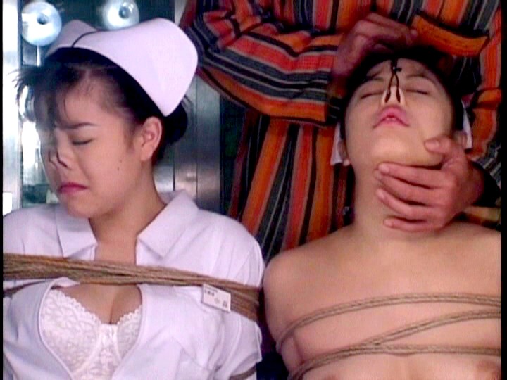 サンプル画像 13