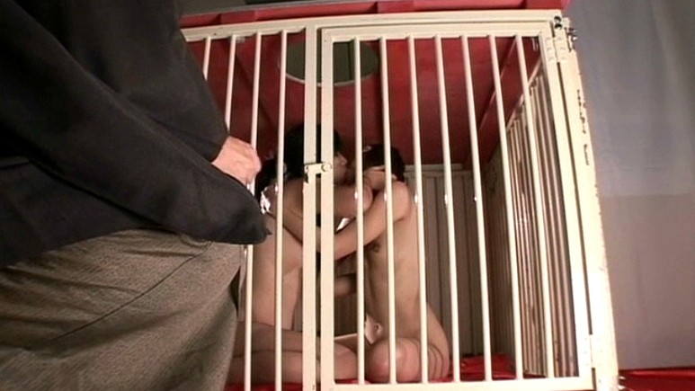 サンプル画像 17