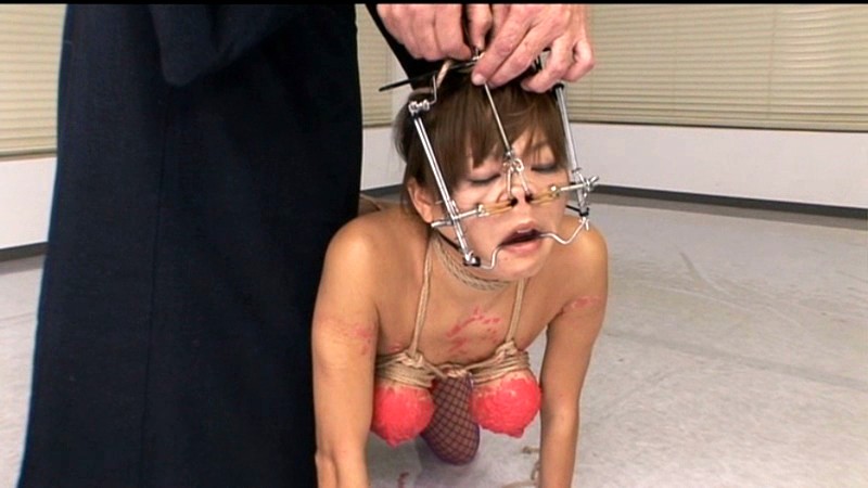 サンプル画像 12