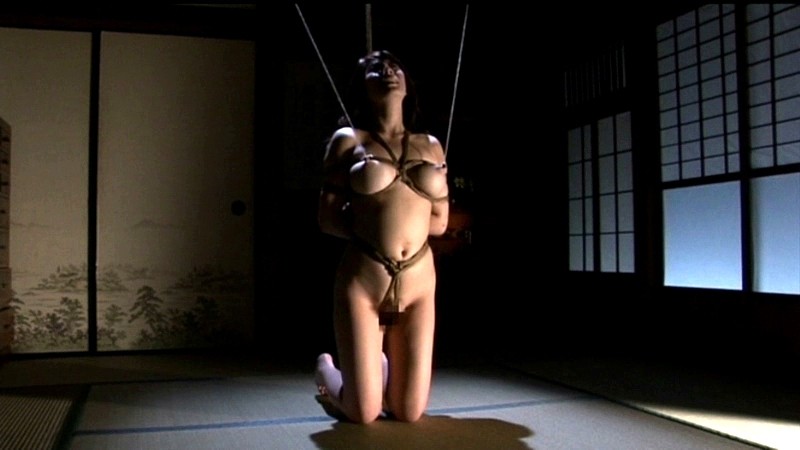 サンプル画像 16