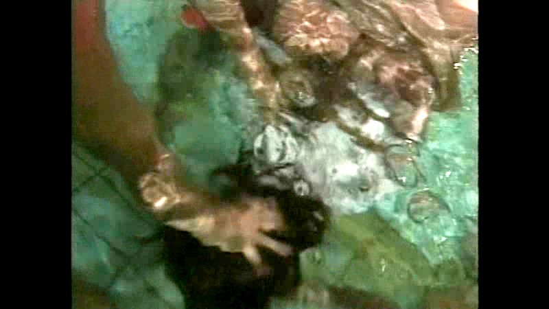 サンプル画像 8