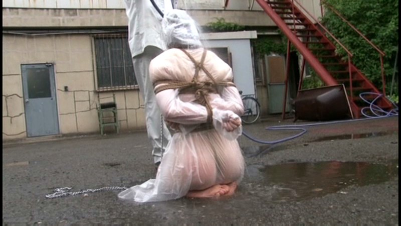 サンプル画像 13