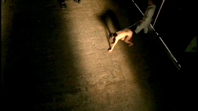 サンプル画像 8