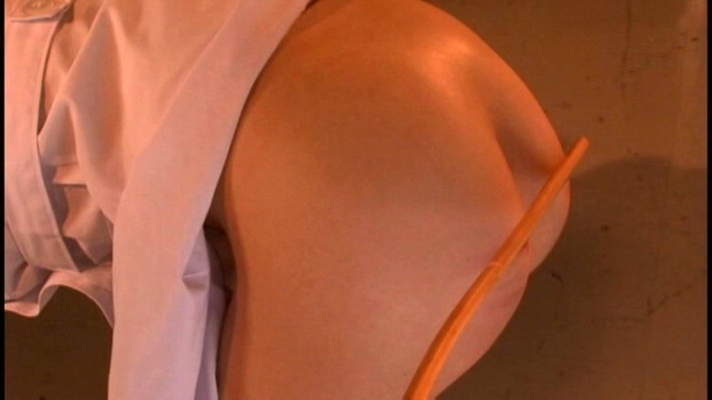 サンプル画像 17