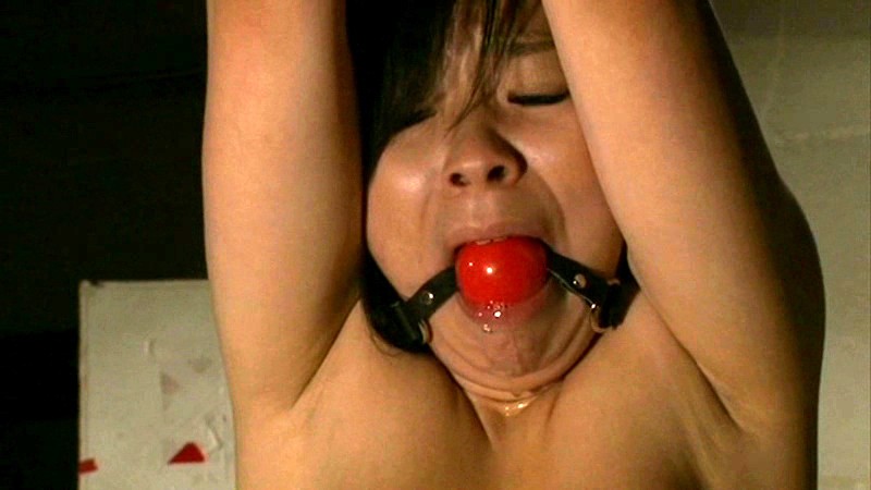 サンプル画像 4