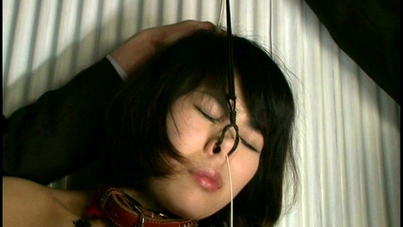 サンプル画像 11