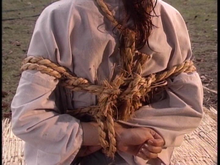 サンプル画像 19