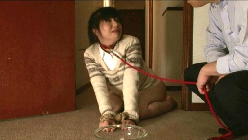 サンプル画像 13