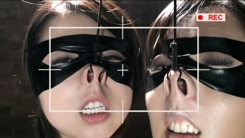 サンプル画像 13