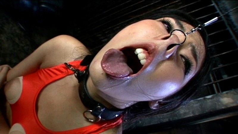 サンプル画像 7