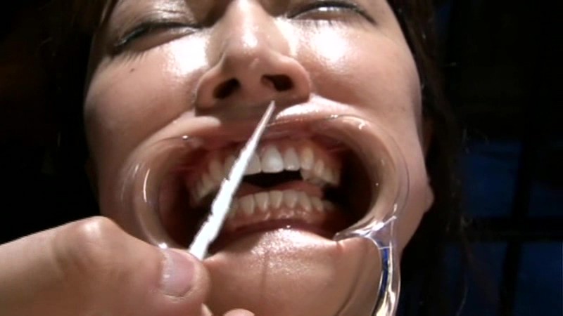 サンプル画像 5