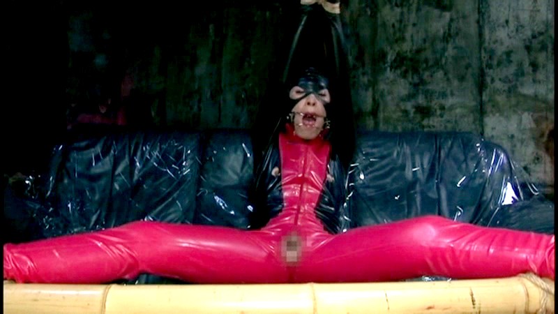 サンプル画像 17