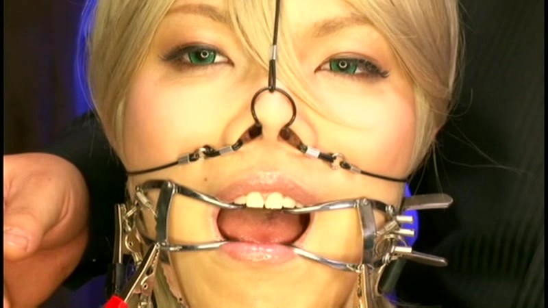 サンプル画像 14