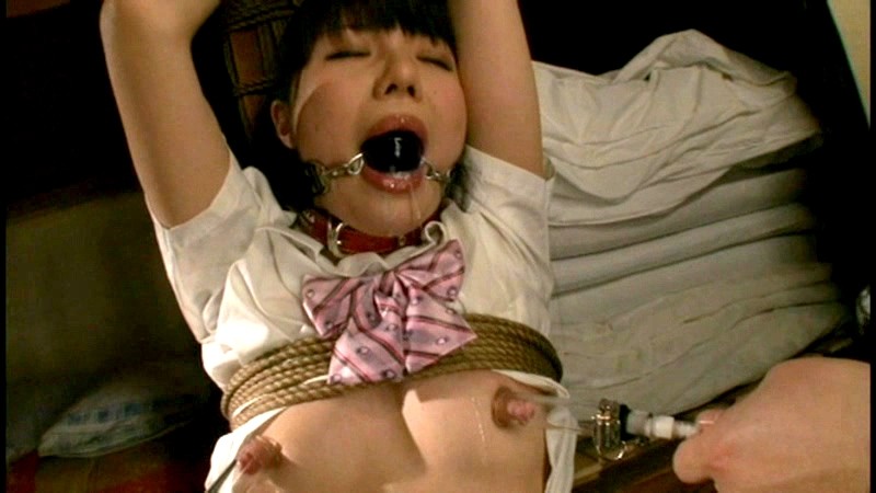 サンプル画像 14