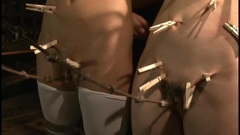 サンプル画像 12