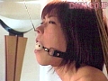 サンプル画像 14