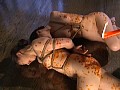 サンプル画像 35