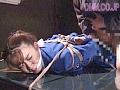 サンプル画像 7