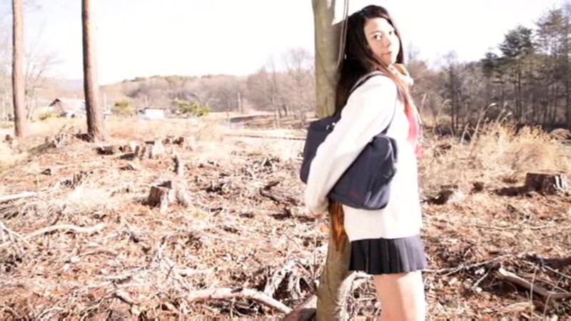 サンプル画像 5