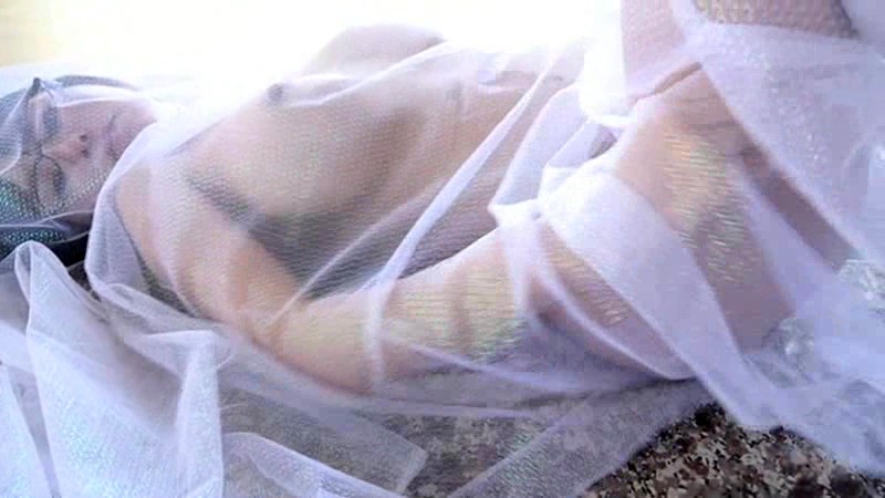 サンプル画像 20