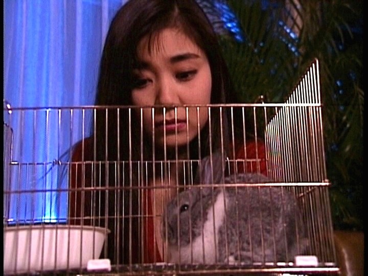 サンプル画像 16